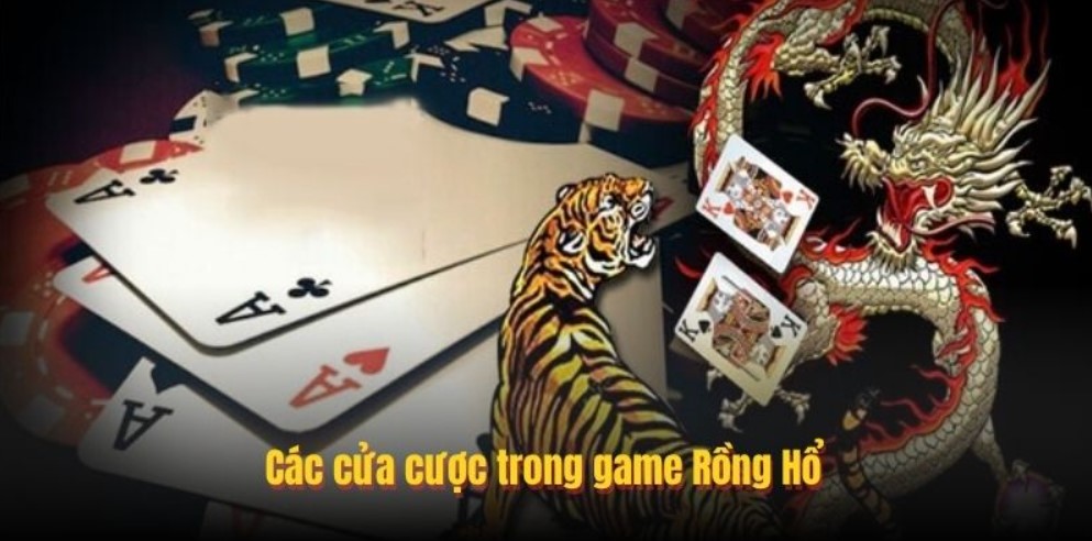 Tỷ lệ trả thưởng rồng hổ online chi tiết nhất